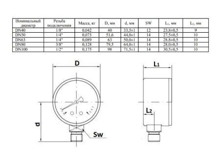 Манометр Watts F+R200 80/6, радиальный
