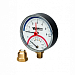 Термоманометр Watts F+R 828/6, радиальный
